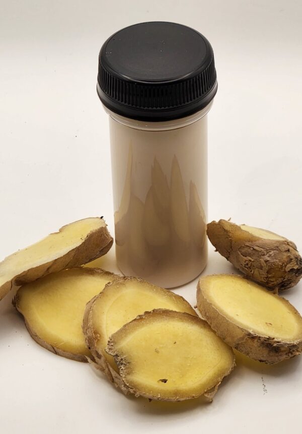 Isan's Naturals Ginger Magic Milk